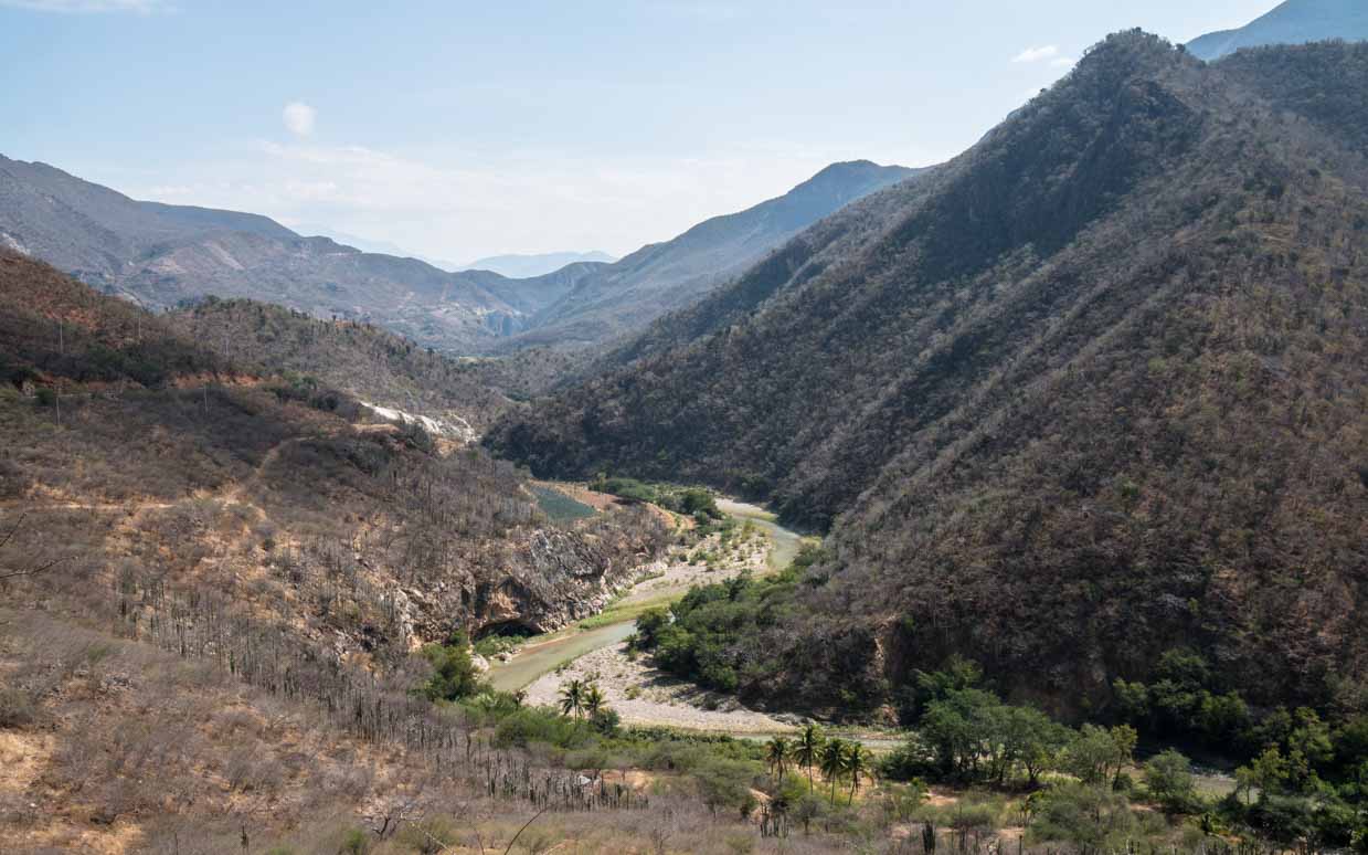 Heilige und Hundewelpen in Oaxaca