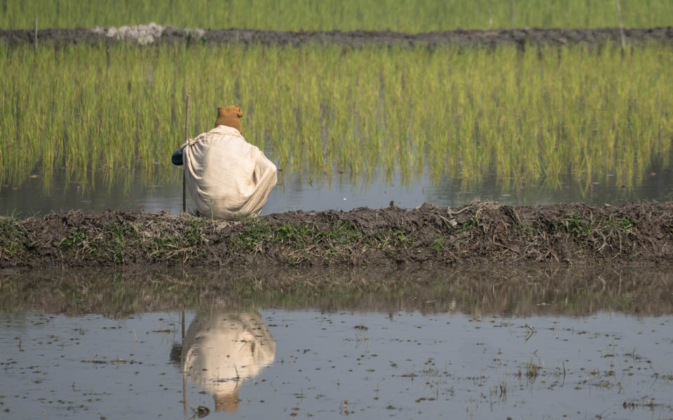 India, many people and many encounters – Gallery