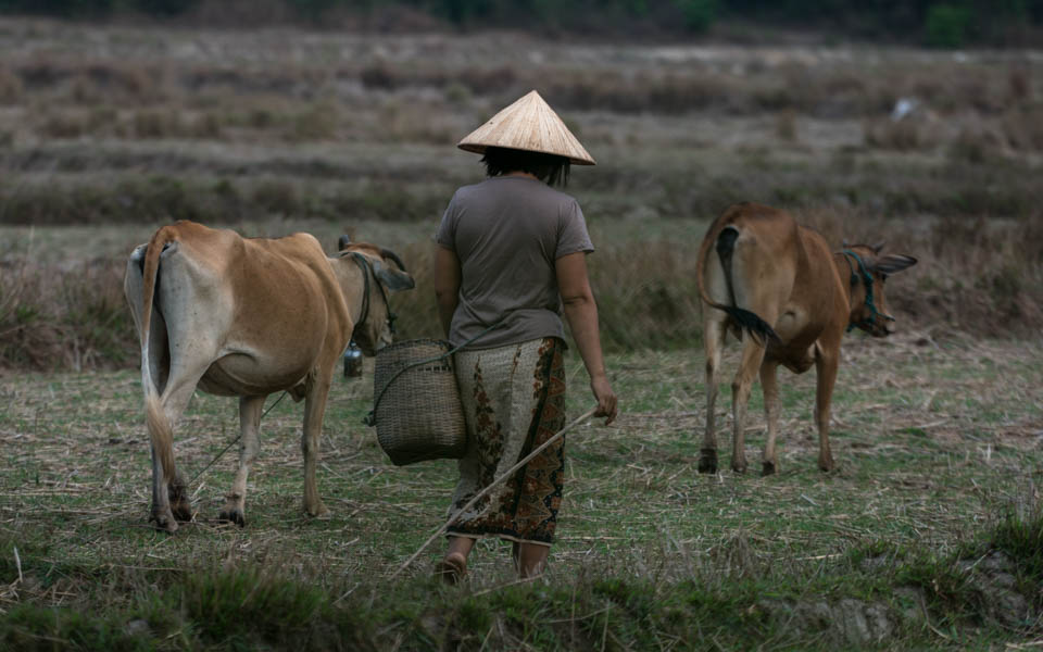 Briefly through Laos – Gallery