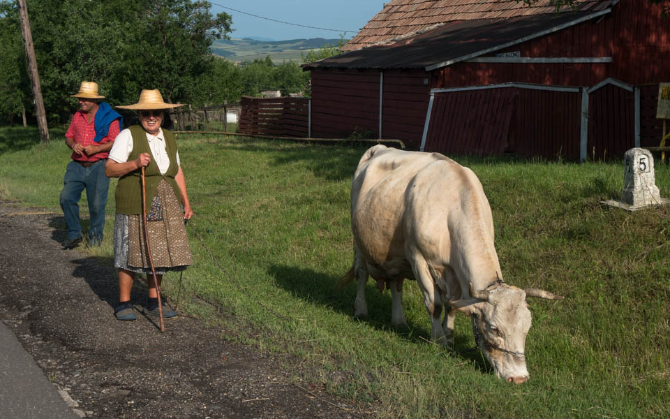 Of chicken and hills in Romania – Gallery