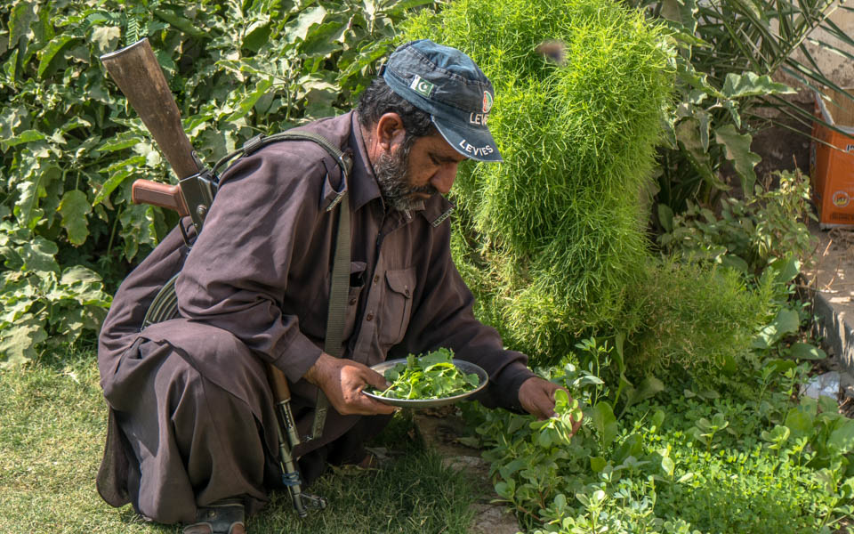 Odyssey through Pakistan – Gallery