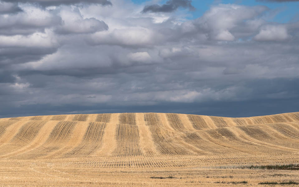 Im Herbst zurück in die USA